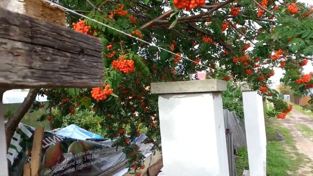 Электрический архитектор