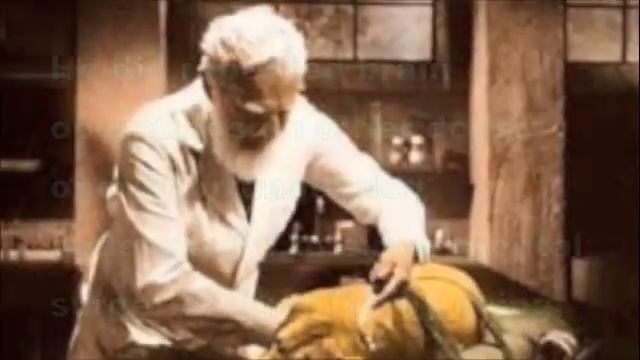 Ivan Pavlov - A Study of Failed Humanity смотреть онлайн