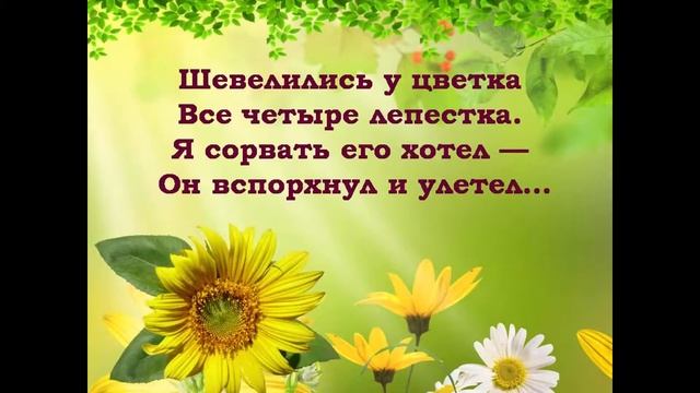 Подсолнух с загадками смотреть онлайн