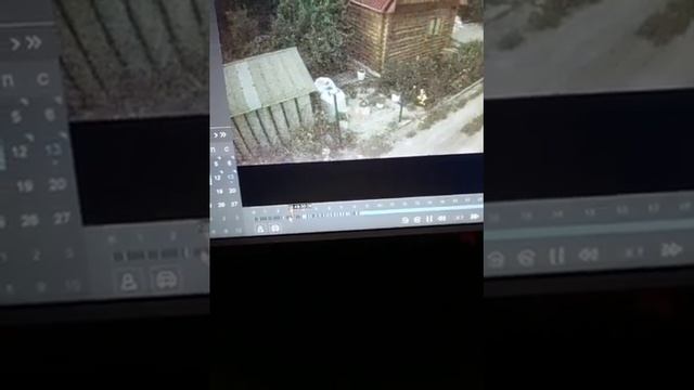 необьяснимое сняла камера ночного видения в коллективном саду смотреть онлайн