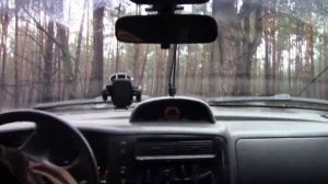 Jimny, TLC 105, Pajero Sport и Нива в лесу