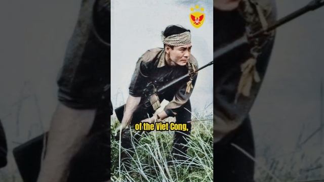 THE TET OFFENSIVE IN THE VIETNAM WAR #shorts смотреть онлайн