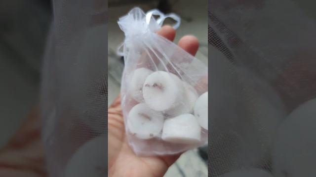 Будущее техники: амбиции и реальность