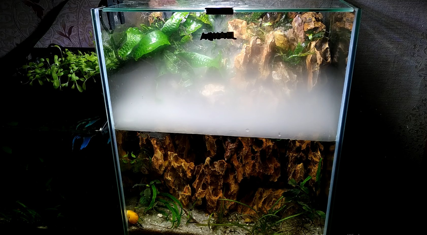 Аквариум с туманом и водопадом! смотреть онлайн