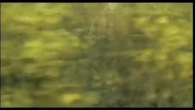 LES CHEVEUX DE MA MERE De Marie Halopeau