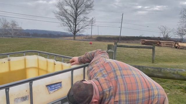 Easy and Effective Ground Pile Composting and Using IBC Containers to Compost: Keep it easy! смотреть онлайн