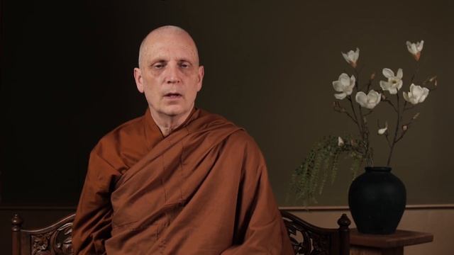 Virtual Metta Retreat (2): The Path to Profound Friendliness смотреть онлайн