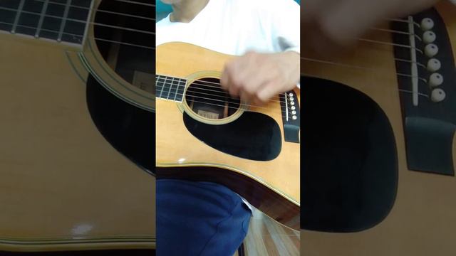 Tokai Cats Eyes Ce500