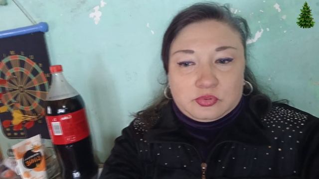 205! Встречаем 2023 год: провожаем ушедший год, подводим итоги, баня, шашлык и отмечаем новый год ? смотреть онлайн