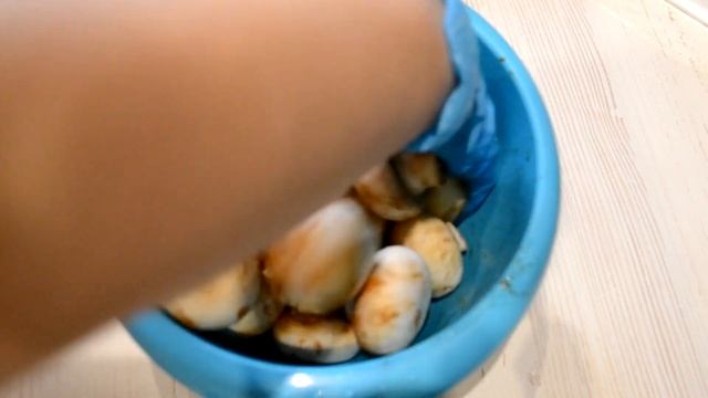 ШАМПИНЬОНЫ на МАНГАЛЕ.ГРИБЫ на МАНГАЛЕ.#40. смотреть онлайн