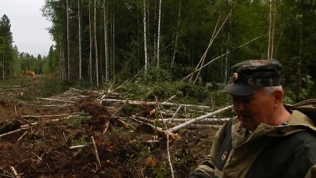 Закапывание спиленного леса при разрубке просеки смотреть онлайн