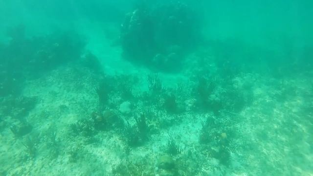 Акумаль и его гигантские черепахи - подводные съёмки смотреть онлайн