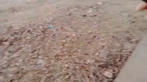 ЗВОНОК НА НОМЕР 666 ДЬЯВОЛУ В АД *ОТВЕТИЛИ ИЗ АДА* Охотники Страхов