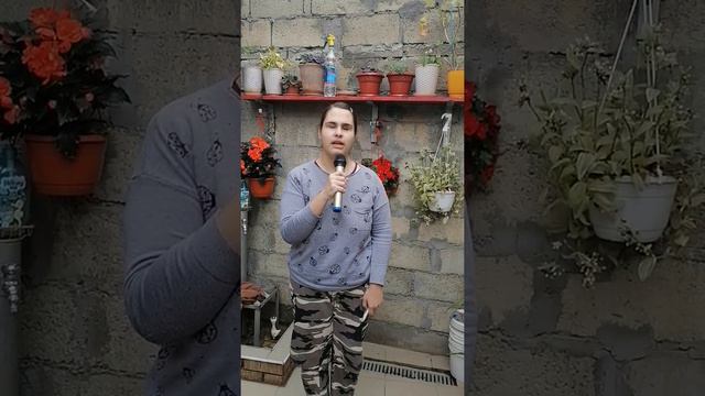 Булат окуджава виноградная косточка. Кавер Алина Князян смотреть онлайн