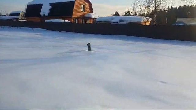 Видео 1327 смотреть онлайн