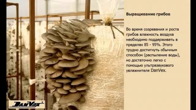Промышленные увлажнители воздуха DanVex Финляндия смотреть онлайн