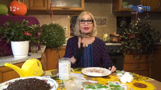 Салат поздней осени / ТЕО ТВ 12+ смотреть онлайн