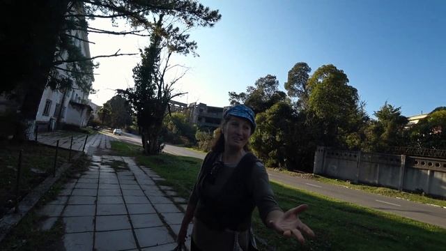 Абхазия. Агудзера. Как растут цитрусы и хурма?