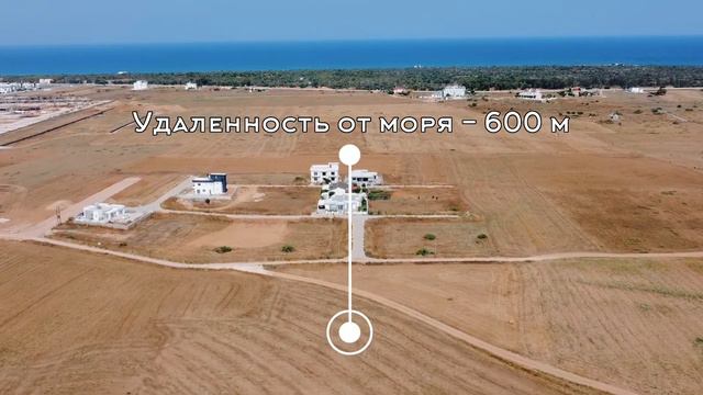 Обзор земельного участка 18,5 донумов на Северном Кипре 🔥 смотреть онлайн