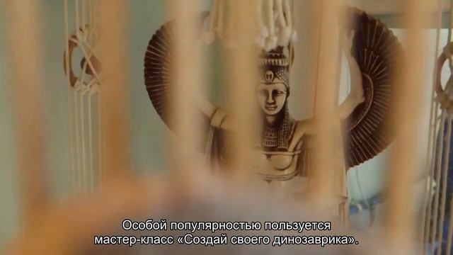 О музее естественной истории Татарстана: официальный сайт, стоимость билета смотреть онлайн
