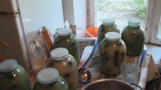 ленивые огурцы/оладьи из кабачков/устал смотреть онлайн