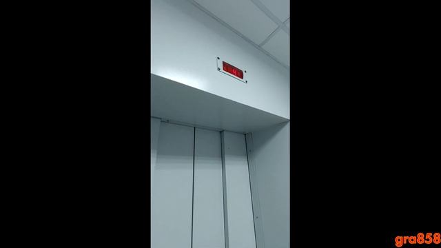 01823/Лифт МогилёвЛифтМаш [8 чел., 630 кг] | Поликлиника №45 || Поездка смотреть онлайн