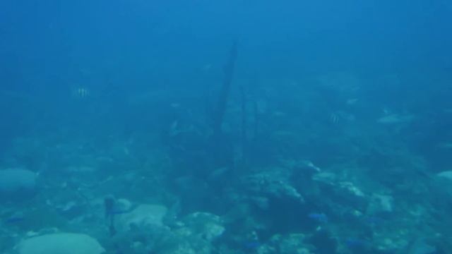 Submarine Adventure смотреть онлайн