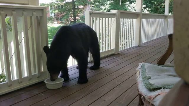 Big Thirst For A Big Girl смотреть онлайн