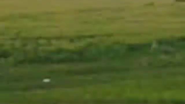 Самарская область: и добыча нефти, и сельское хозяйство 2 смотреть онлайн