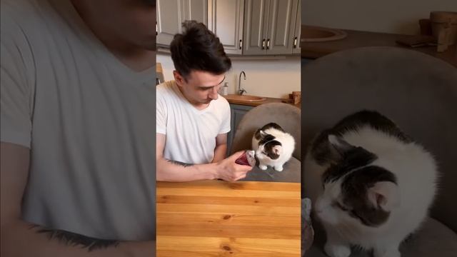 Крышечка от аппарата Зенит :3 #shorts смотреть онлайн