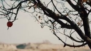 Нигина Амонкулова наваш