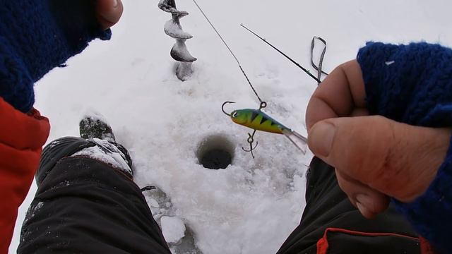 Оставил ЖЕРЛИЦЫ НА НОЧЬ и вот что из этого вышло! РЫБАЛКА на ЖЕРЛИЦЫ2021. Ловля щуки в ГЛУХОЗИМЬЕ. смотреть онлайн