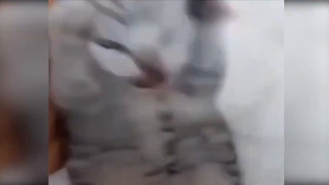 АВТОР ЗДОХ И ВИДЕО НЕ БУДЕТ 35587458369863698464986598658596 МИЛЕОНАВ ЛЕТ😡👹👺 смотреть онлайн