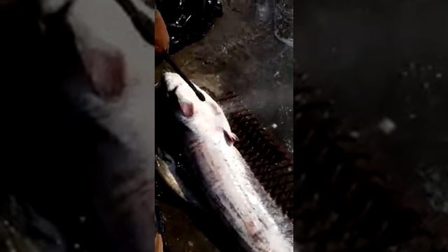 Чистим сома смотреть онлайн