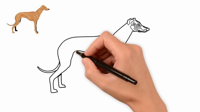 How To Draw A Dog, Draw Animals,