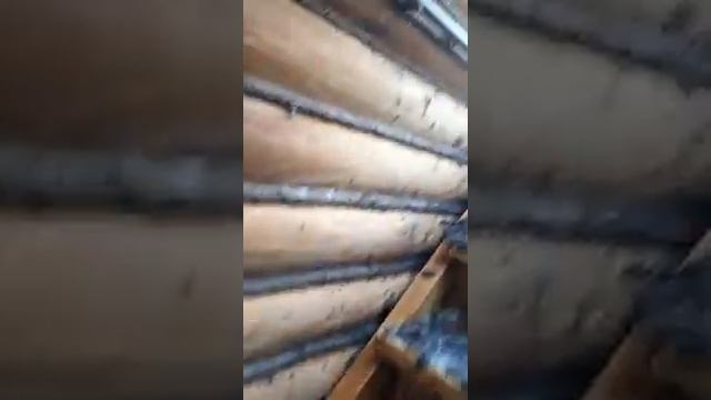 Баня после пожара смотреть онлайн
