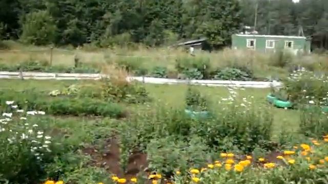 дача в Твери смотреть онлайн