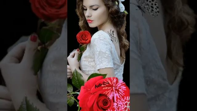 Сергей Одинцов - Розы любви смотреть онлайн