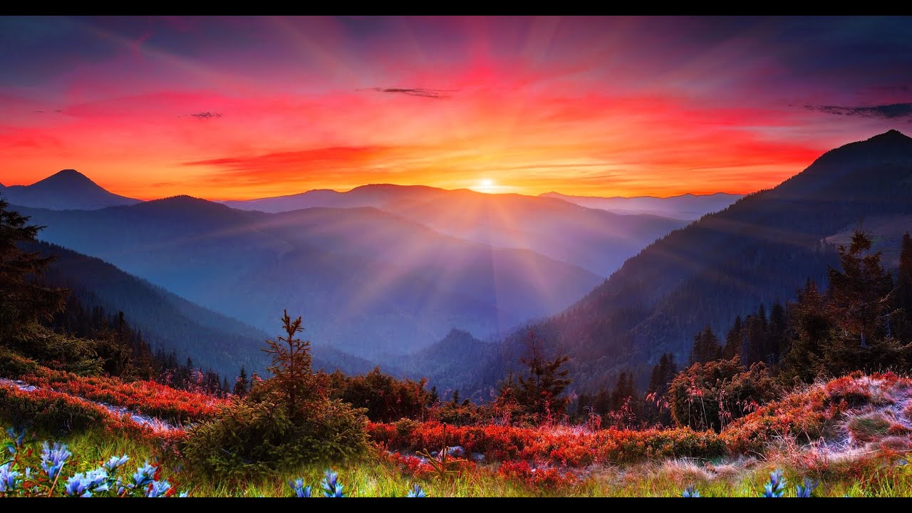 Одинокий пастух | Мировые хиты - музыка для души |