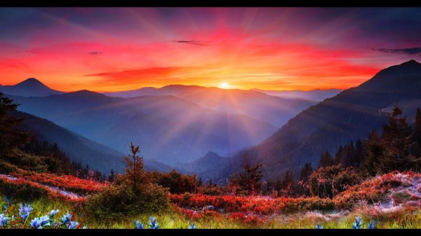 Одинокий пастух | Мировые хиты - музыка для души |