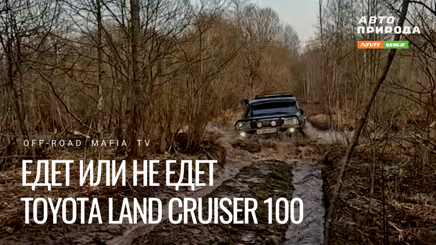 Едет или не едет Toyota Land Cruiser 100