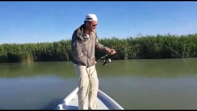 Как мы ловили сома на Завидово! смотреть онлайн