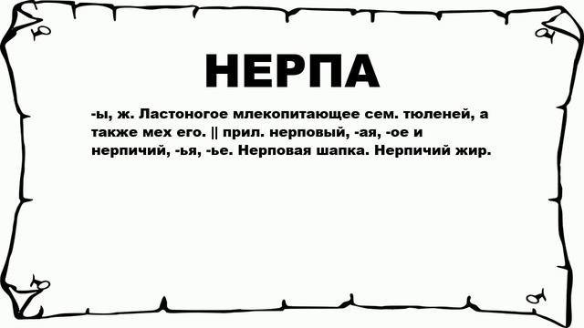 НЕРПА - что это такое? значение и описание