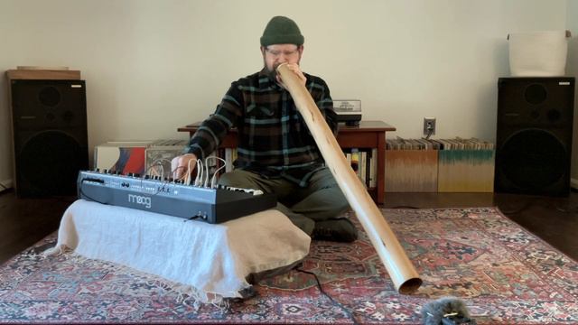 DUOS: Moog Matriarch and Didgeridoo смотреть онлайн