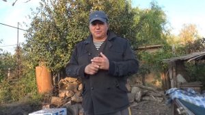 Николаевские голуби. Новое приобретение.