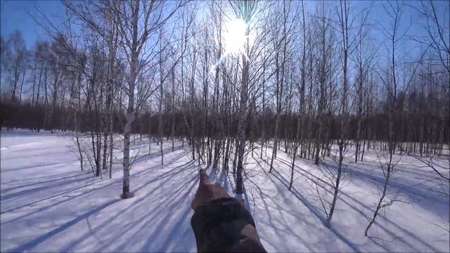 ОХОТА НА ЗАЙЦА С ГОНЧЕЙ. ЗАКРЫТИЕ СЕЗОНА смотреть онлайн