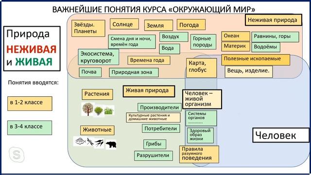 Вахрушев А.А. Состав УМК «Окружающий мир» издательства «Бином. Лаборатория знаний» и его особенност смотреть онлайн