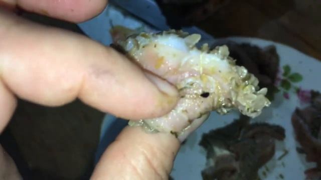 Прикорм щенков сырой говяжьей требухой: как это делается. смотреть онлайн