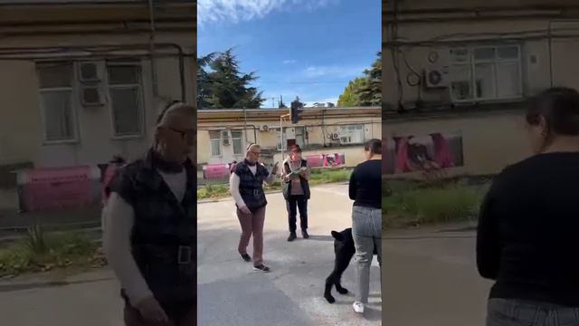 Лучший щенок выставка. Севастополь. ризен Гер Хип Гурзуф Аю-Даг.16.10.22 (о.РК Урсол - м.ГХ Цанита) смотреть онлайн