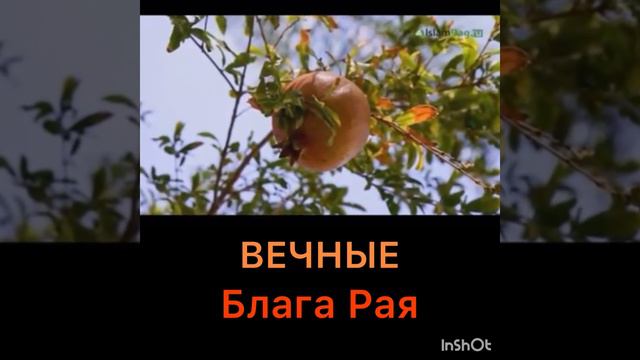 Вечные блага Рая смотреть онлайн